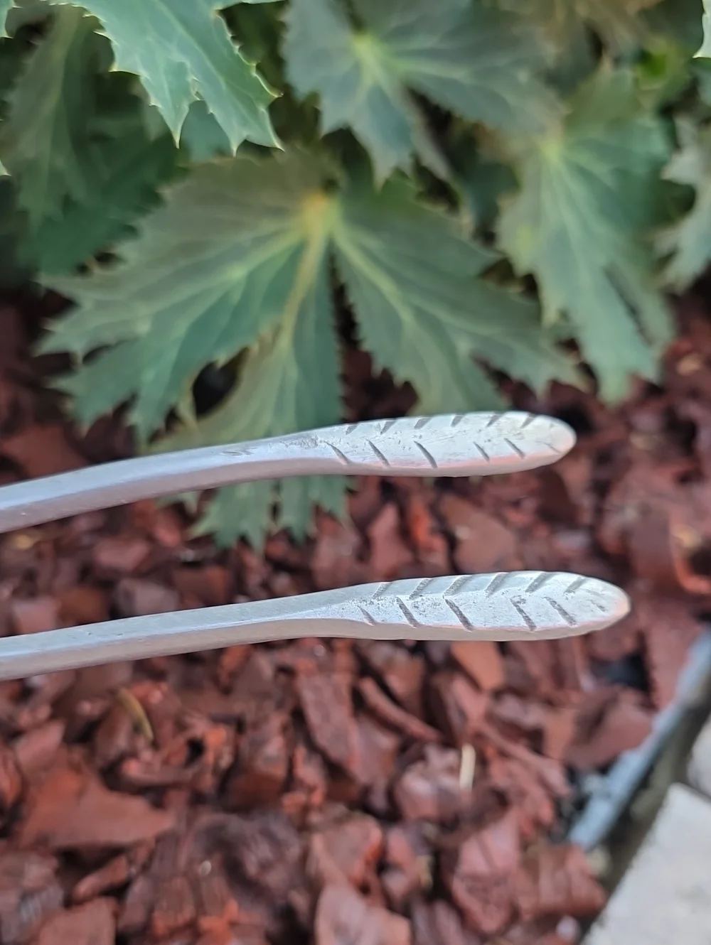 Vintage Polished Aluminum Ant Sculpture - Nima Oberoi Lunares San Francisco